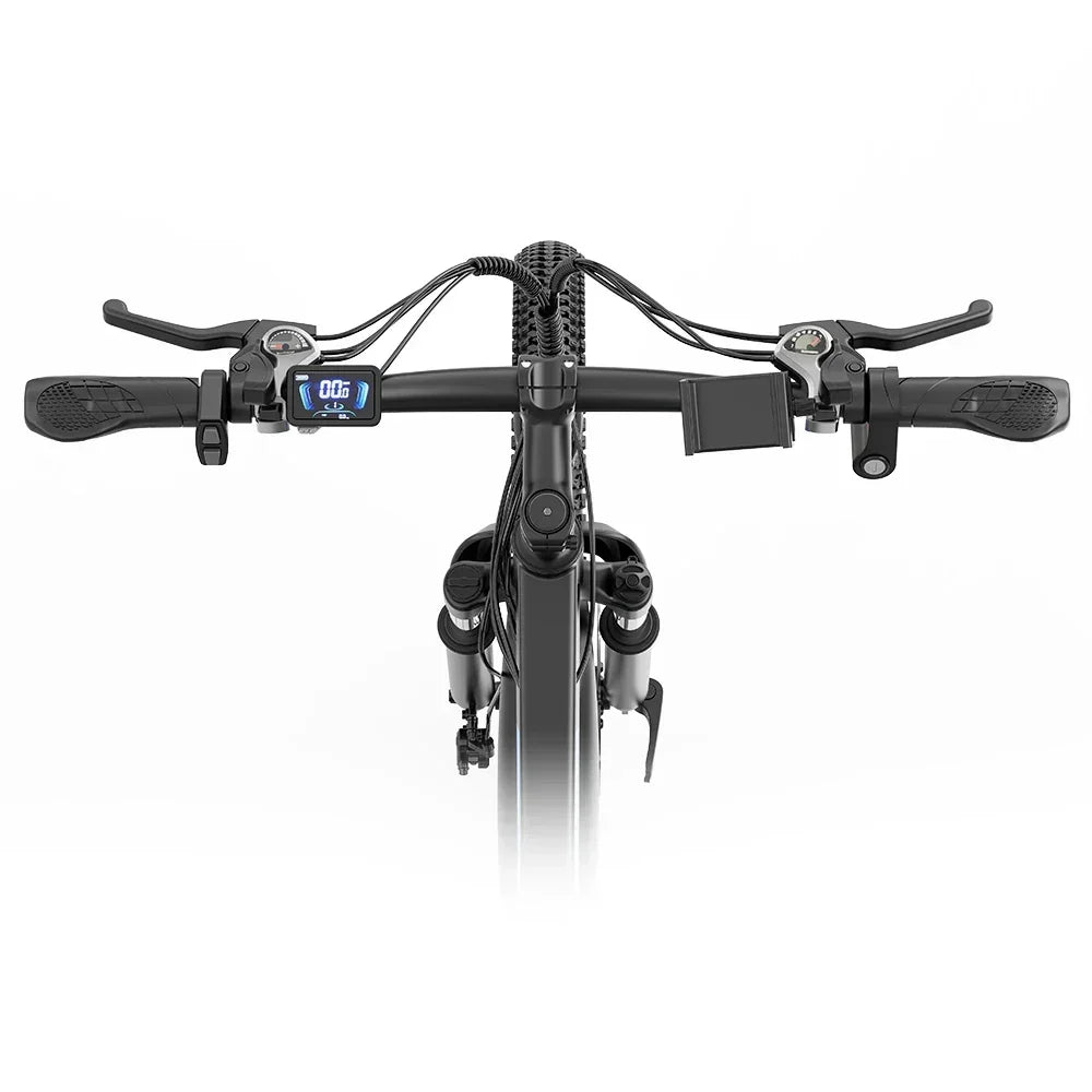 RIDSTAR S29 Pro Elektrofahrrad