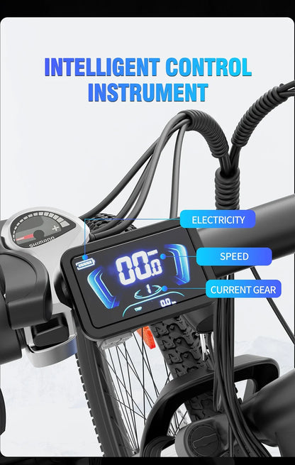 RIDSTAR S29 Pro Elektrofahrrad