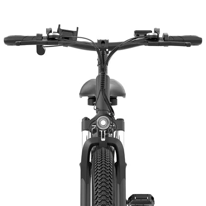 RIDSTAR S29 Pro Elektrofahrrad