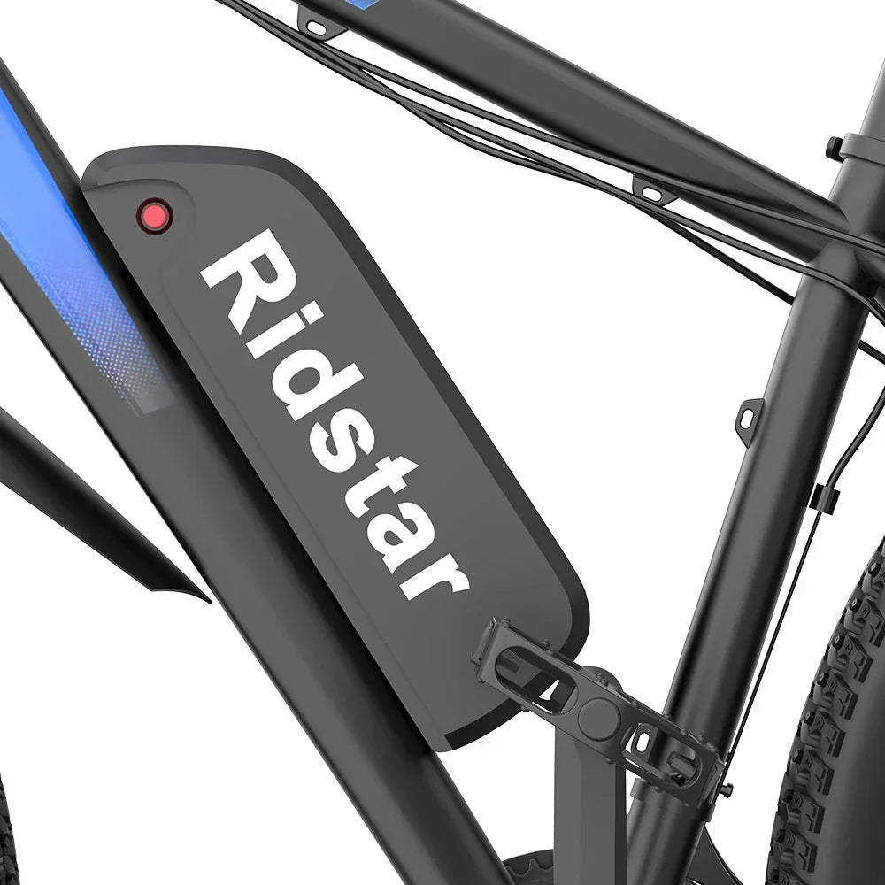 RIDSTAR S29 Pro Elektrofahrrad