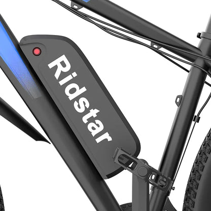 RIDSTAR S29 Pro Elektrofahrrad