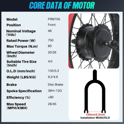 Fat-Tire-750W-E-Bike Umrüstsatz - 20"/26"