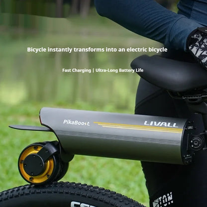 Electric Bike PikaBoost2 Assisted Kit
