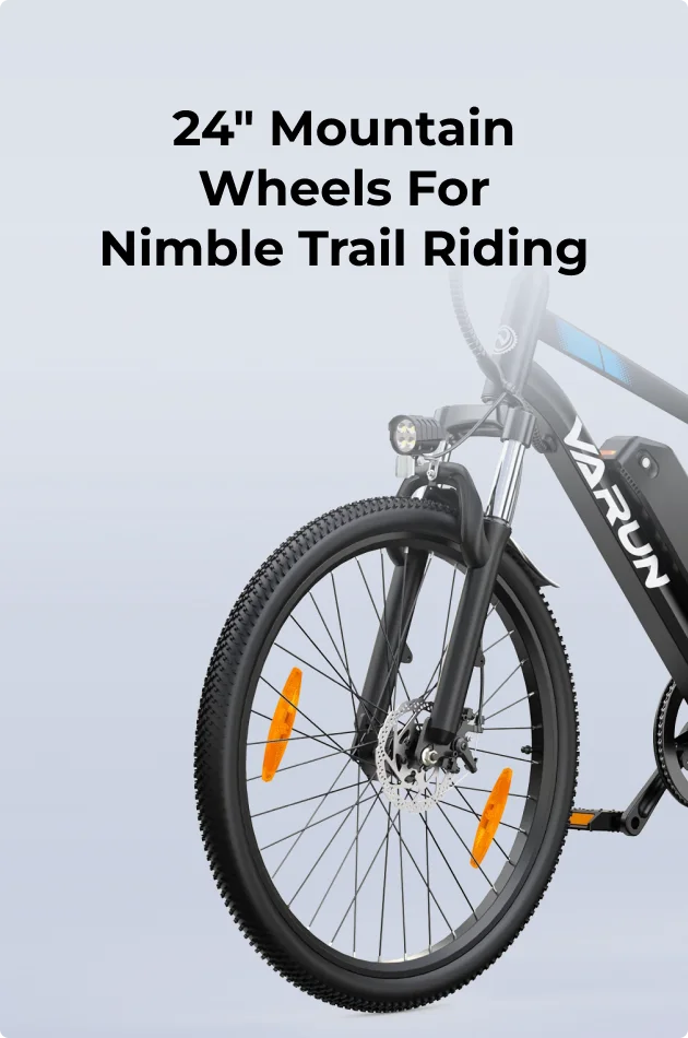 VARUN M24-1 E-Bike