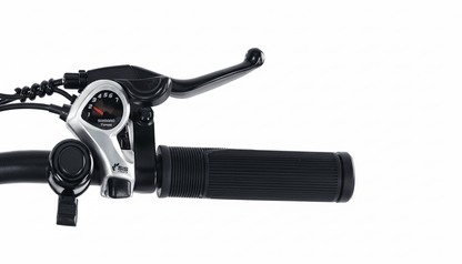 VARUN M27-1 Pro E-Bike mit mobiler Anwendung