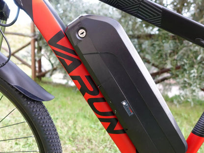 VARUN M27-1 Pro E-Bike mit mobiler Anwendung