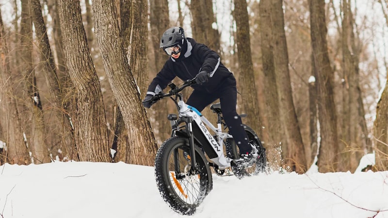 VARUN S26-1 E-Bike