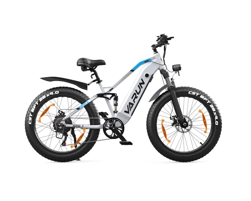 VARUN S26-1 E-Bike