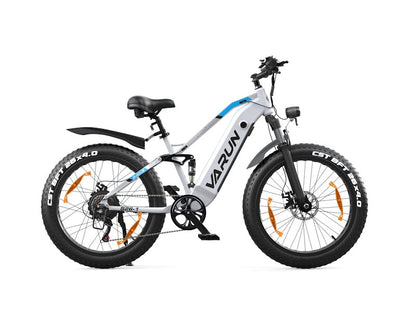 VARUN S26-1 E-Bike