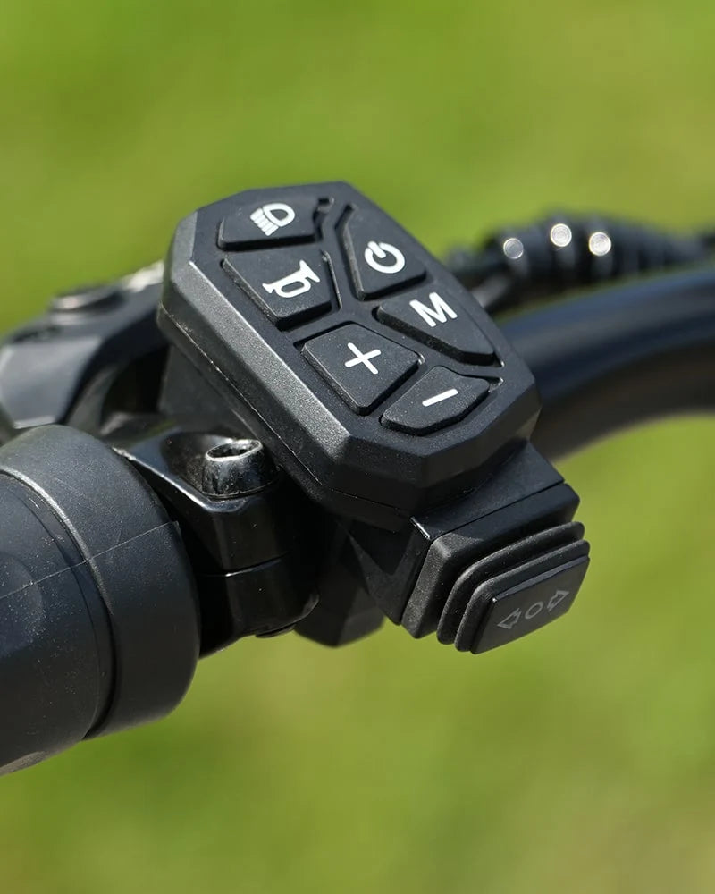 VIPCOO VS9 Dual Motor Klappbarer Elektroroller