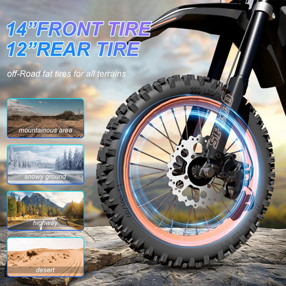 FREEBOY Y88 Elektro-Dirtbike