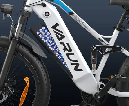 VARUN S26-1 E-Bike