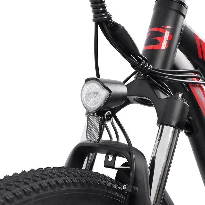 BIGFLY C29 Ultra E-Bike