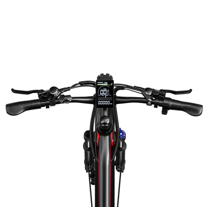 RANDRIDE YG90B Elektrisches Mountainbike