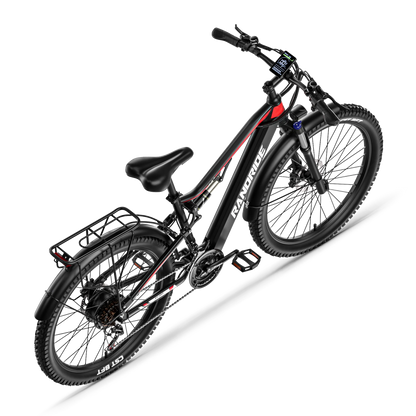 RANDRIDE YG90B Elektrisches Mountainbike