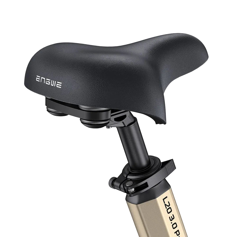 ENGWE L20 3.0 Pro Elektrofahrrad