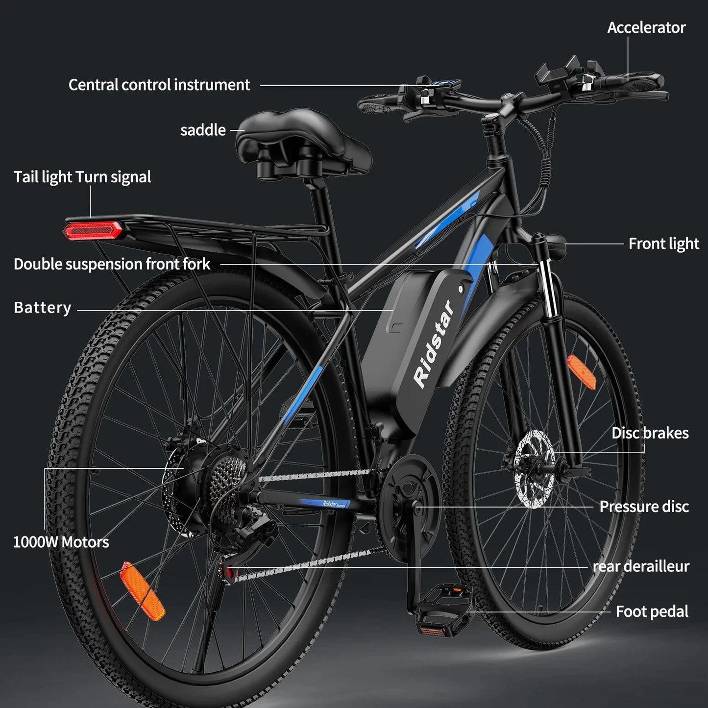 RIDSTAR S29 Pro Elektrofahrrad
