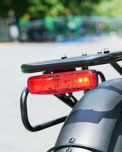 HIDOES F3 PRO Cargo E-Bike