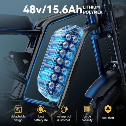 HIDOES B6 E-Bike