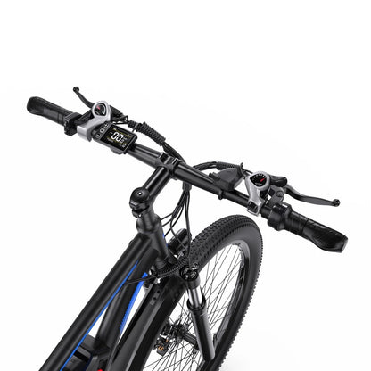 DUOTTS C29 Elektrofahrrad