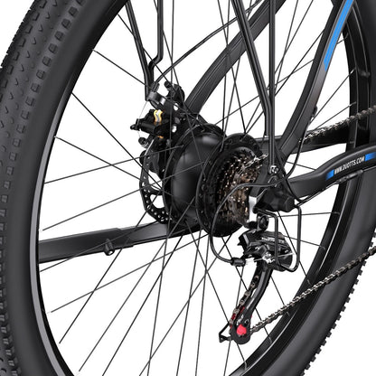 DUOTTS C29 Elektrofahrrad