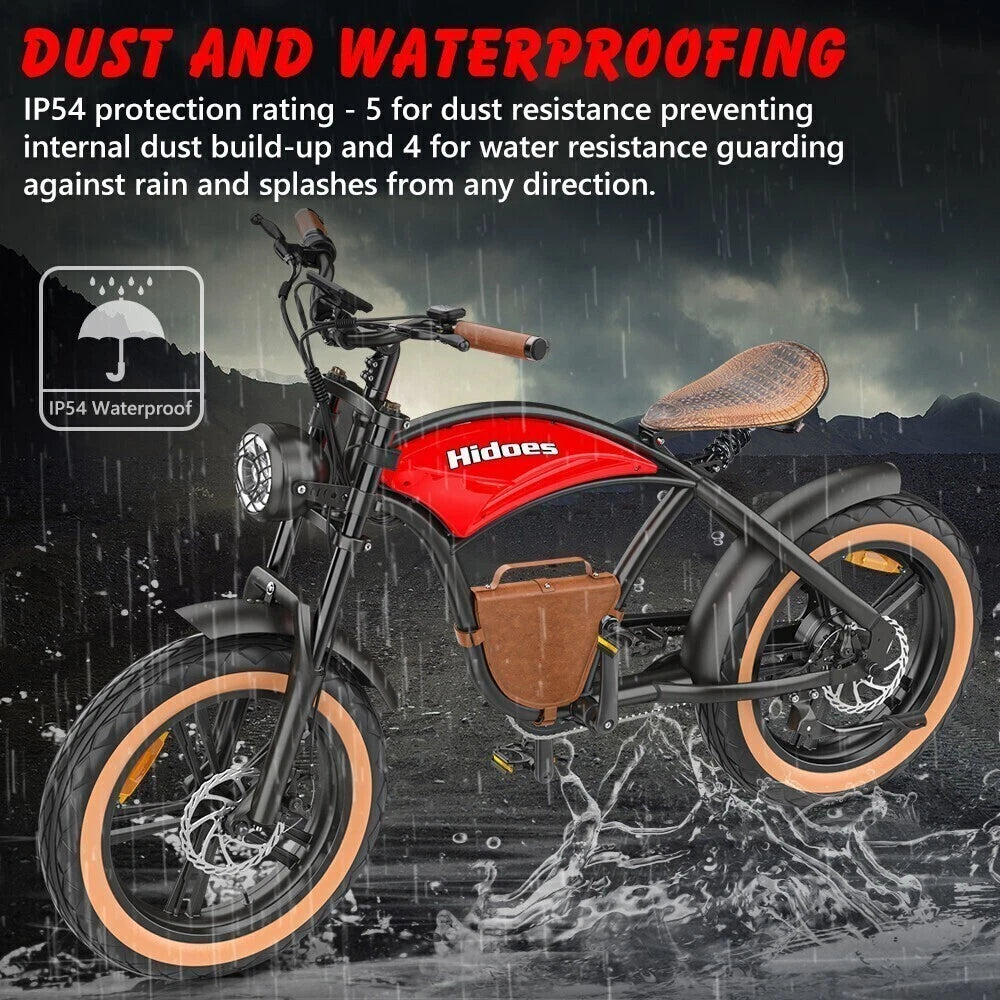 HIDOES B10 E-Bike