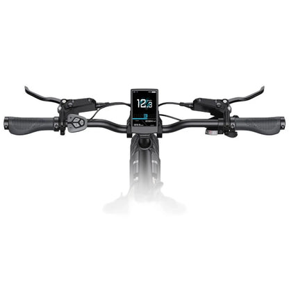 ENGWE L20 3.0 Pro Elektrofahrrad