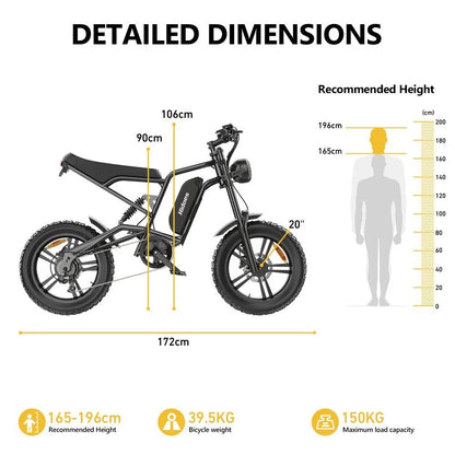 HIDOES B6 E-Bike