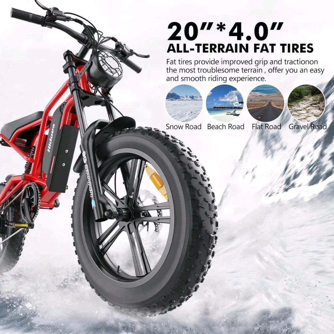 HIDOES B6 E-Bike
