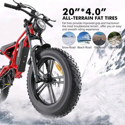 HIDOES B6 E-Bike