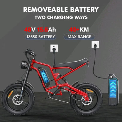 HIDOES B6 E-Bike