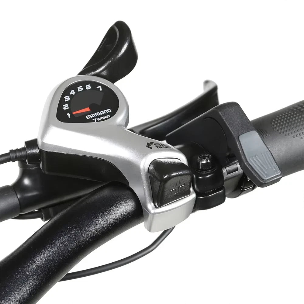 SAMEBIKE XWLX09-II klappbares Elektro-Mountainbike