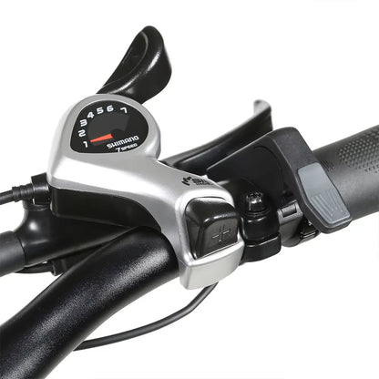 SAMEBIKE XWLX09-II klappbares Elektro-Mountainbike