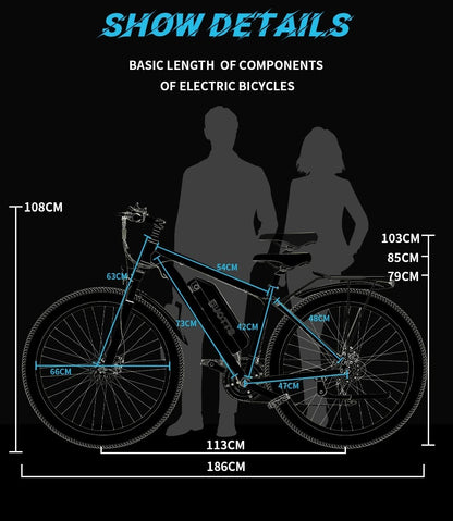 DUOTTS C29 Elektrofahrrad