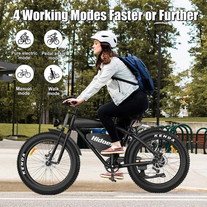 HIDOES B3 Fat Tire Elektrofahrrad