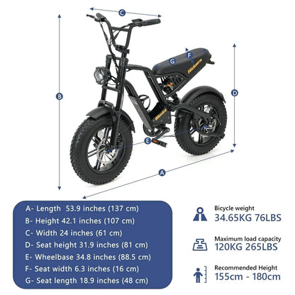 HIDOES B6 Mini-Elektrofahrrad