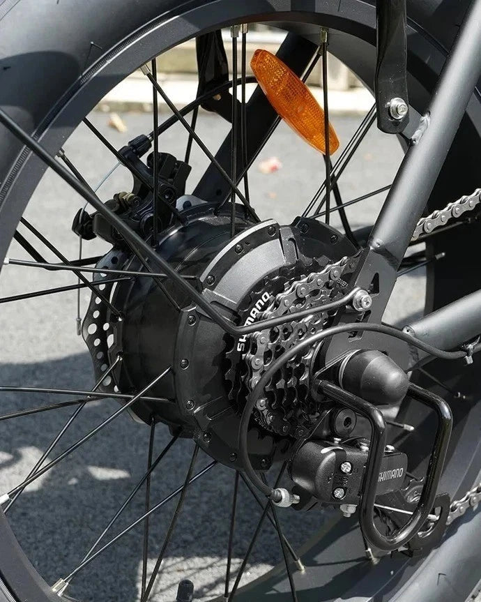 HIDOES F3 PRO Cargo E-Bike