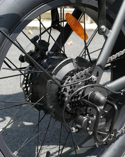 HIDOES F3 PRO Cargo E-Bike
