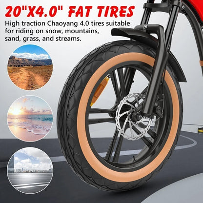 HIDOES B10 E-Bike