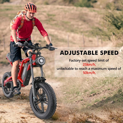 HIDOES B6 E-Bike