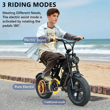 HIDOES B6 Mini-Elektrofahrrad