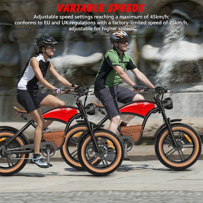 HIDOES B10 E-Bike