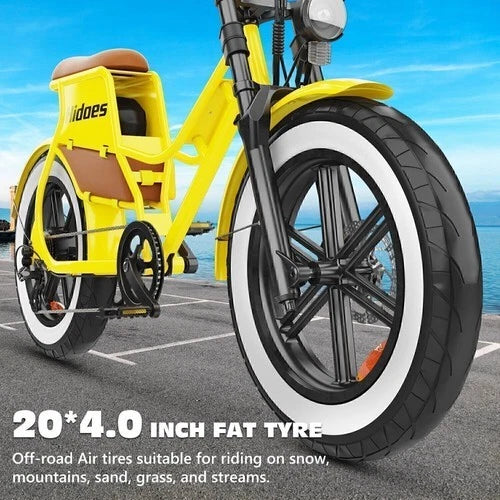 HIDOES C8 Fat Tire E-Bike