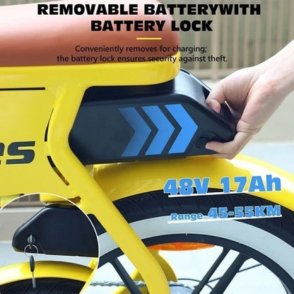 HIDOES C8 Fat Tire E-Bike