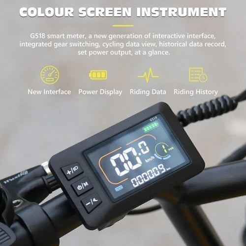 HIDOES C8 Fat Tire E-Bike