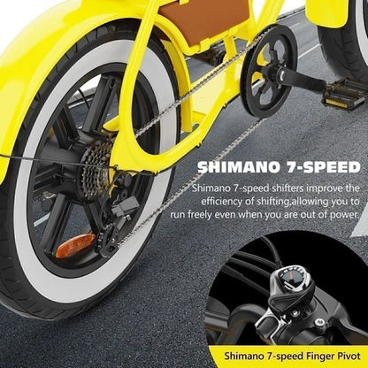 HIDOES C8 Fat Tire E-Bike