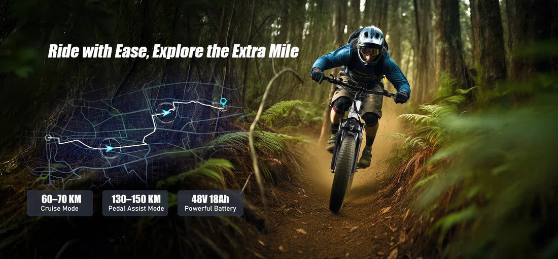 VARUN S26-1 E-Bike