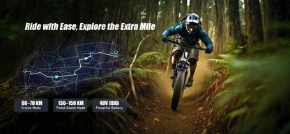 VARUN S26-1 E-Bike